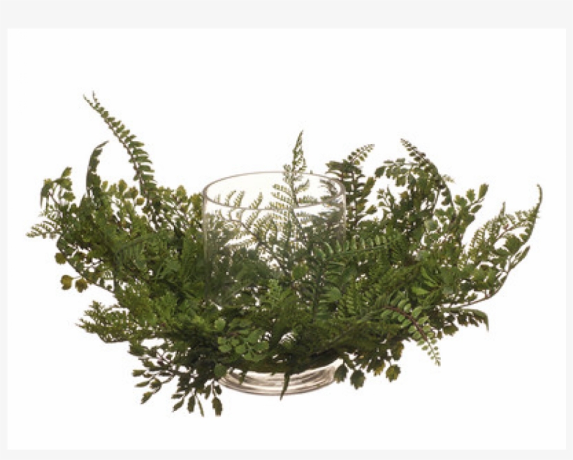 Grass, transparent png #484850