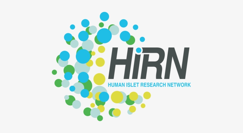Hirn Medium Logo - Hirn Logo, transparent png #485044