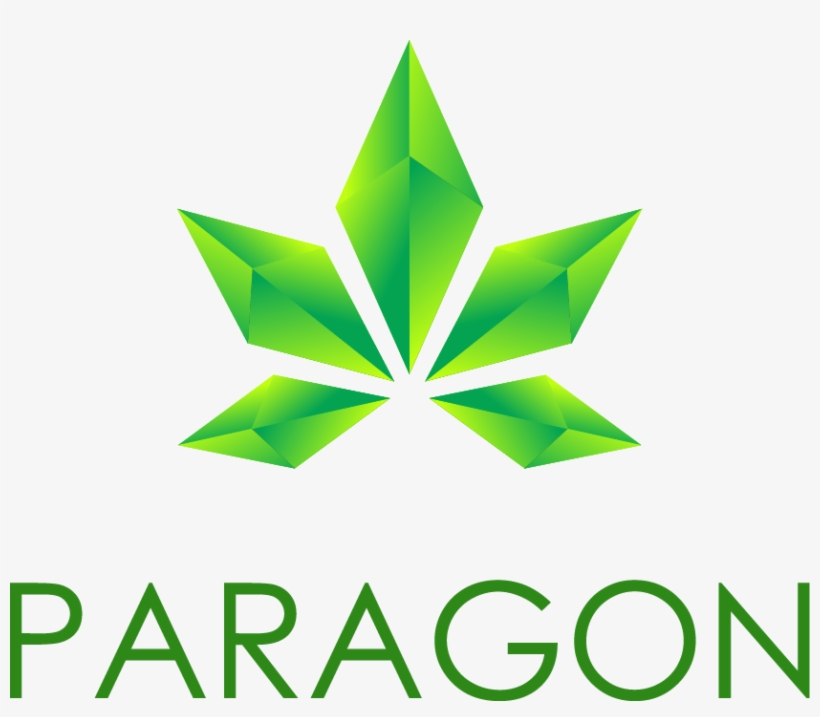 Paragon Logo Medium - Paragon Coin Ico, transparent png #485301