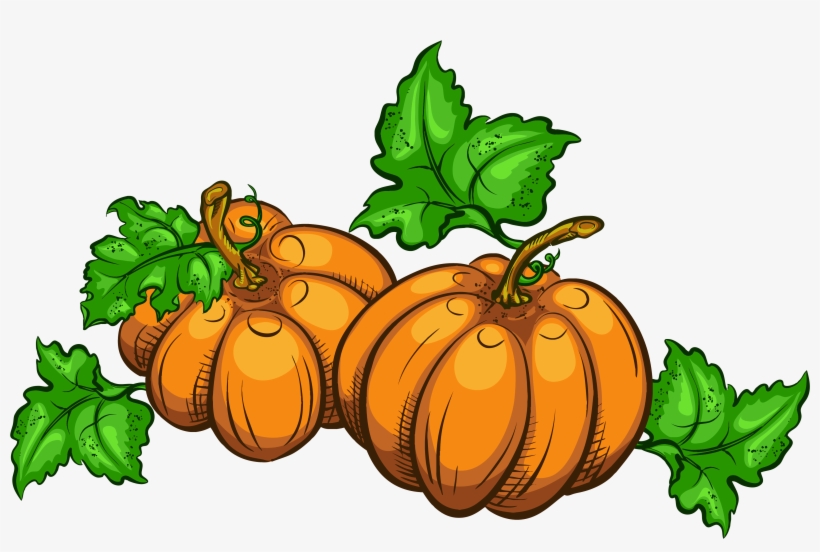 Jpg Free Library Transparent Pumpkins Png Clipart Picture - Pumpkin Clip Art, transparent png #485501