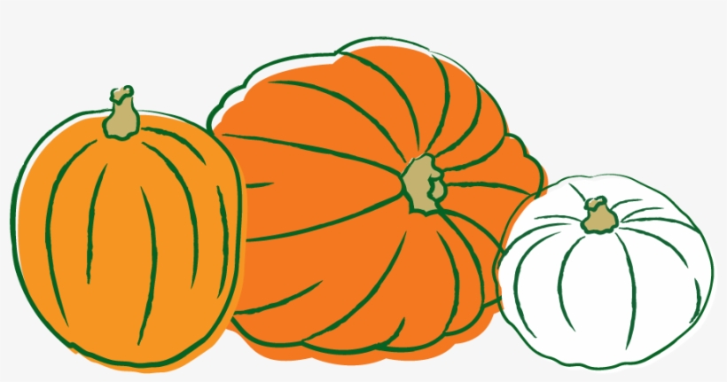 Clipart Pumpkin Vector - Calabazas Dibujos, transparent png #485818