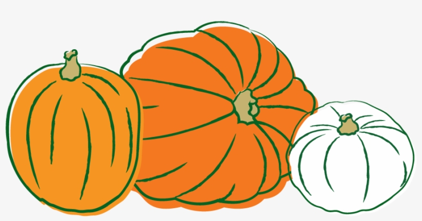 Clipart Pumpkin Vector Calabazas Dibujos Free Transparent Png