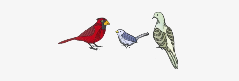 Since Watch Groups Host Events, Plan Meetings, And - Eastern Meadowlark, transparent png #486231