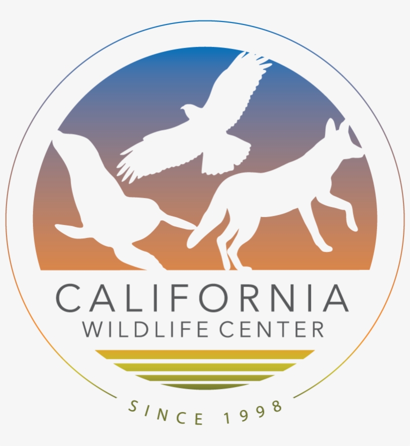 California Wildlife Center, transparent png #486926