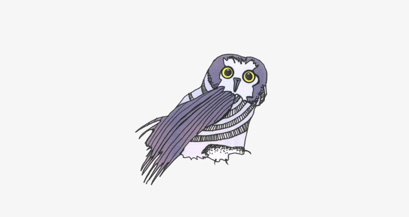 A Study By The Us Department Of Justice In 2008 Found - Great Grey Owl, transparent png #486947
