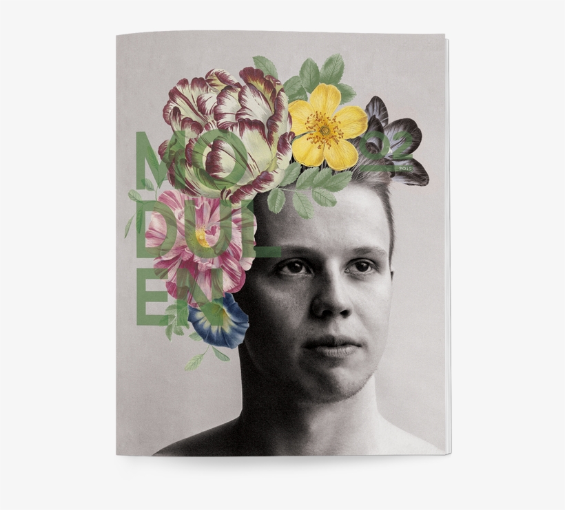 Picture - Artificial Flower, transparent png #487240