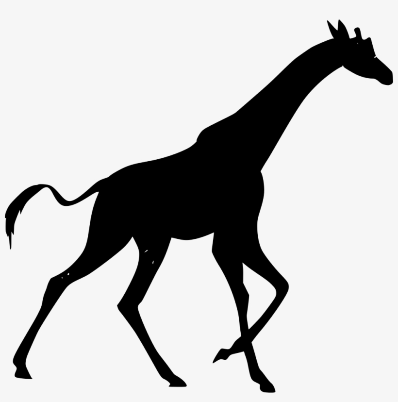 Download Png - Zoo, transparent png #487899