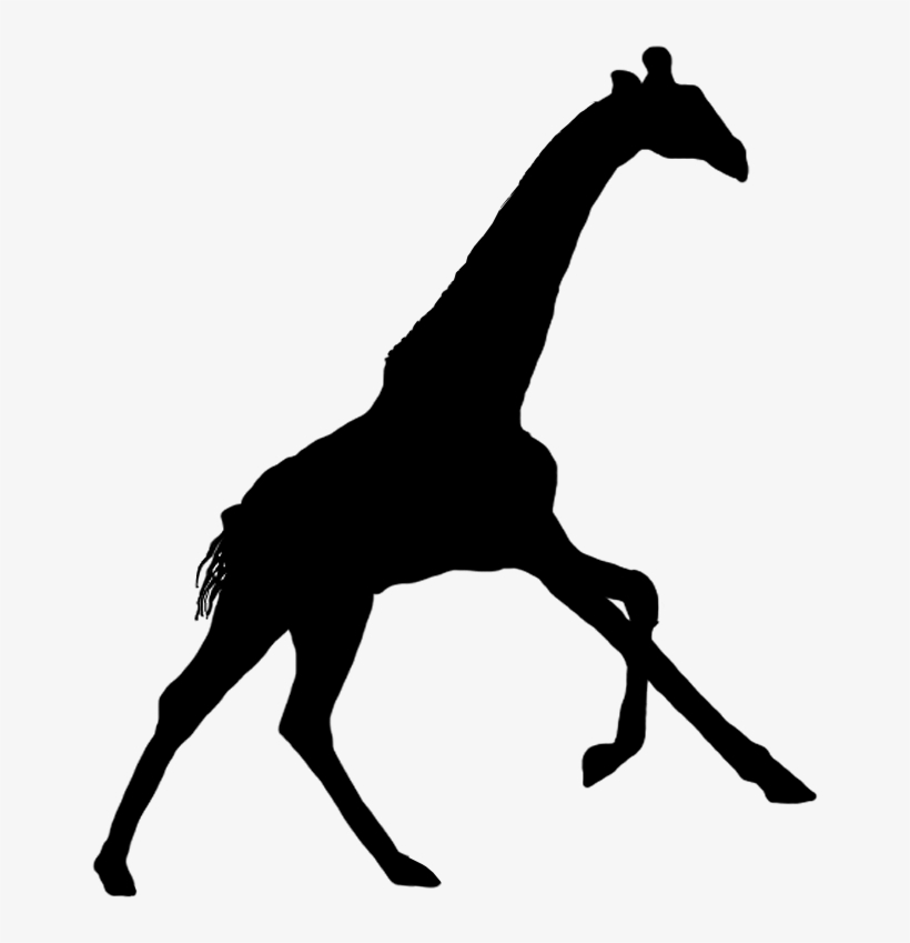 Creepy Tree Silhouette - Giraffe Silhouette Png, transparent png #487973