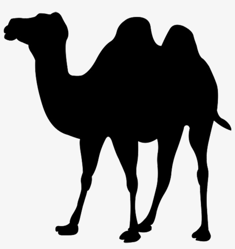 Giraffe - Silhouette - Clip - Art - Camel Clipart, transparent png #488059