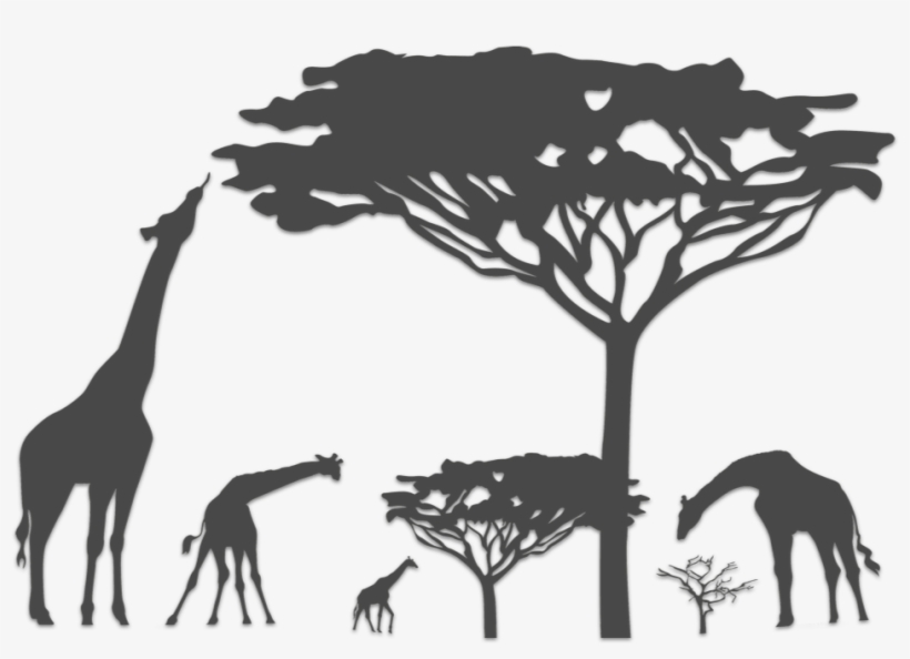 Giraffe - Safari Animals Silhouette Png, transparent png #488308
