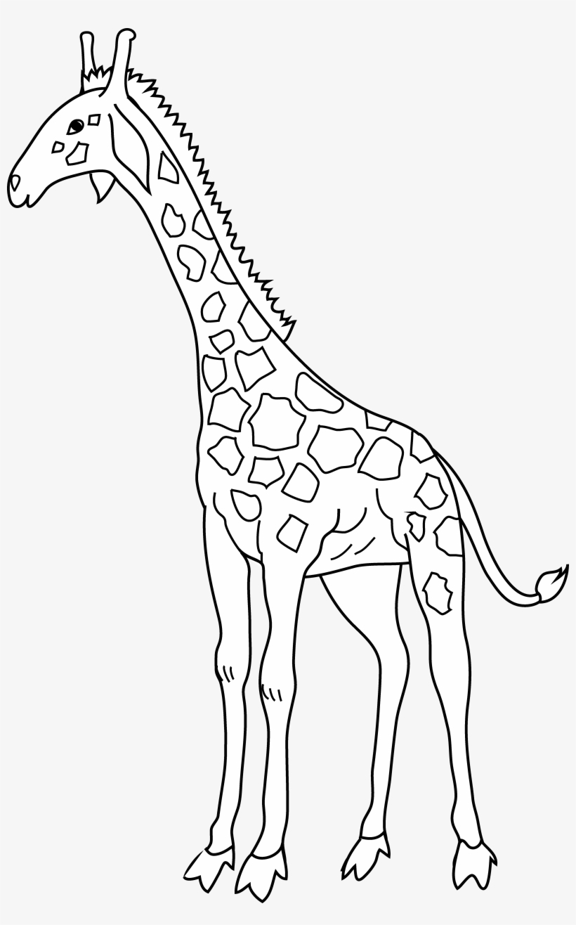 Clipart Free Download Coloring Page Free Clip Art - Clip Art, transparent png #488328