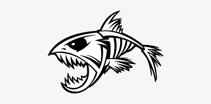 Fish Skeleton Images  Free Download on Freepik