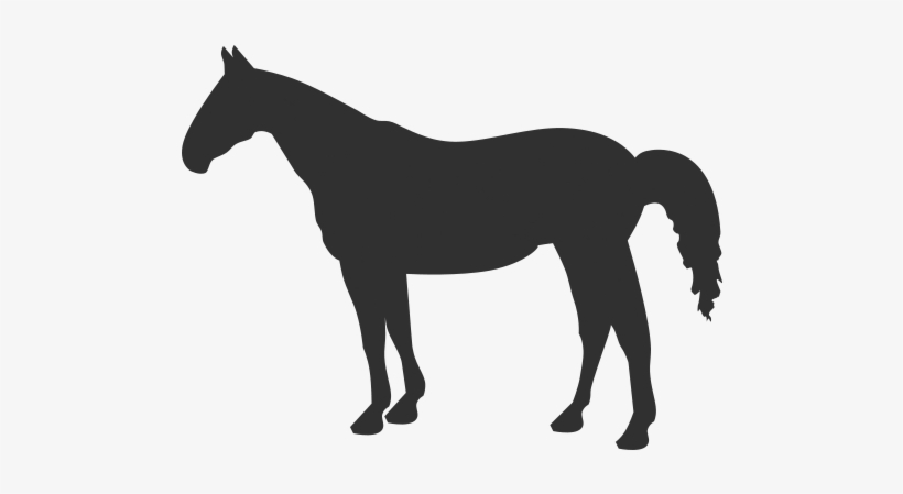 Quarter Horse Silhouette, transparent png #488755
