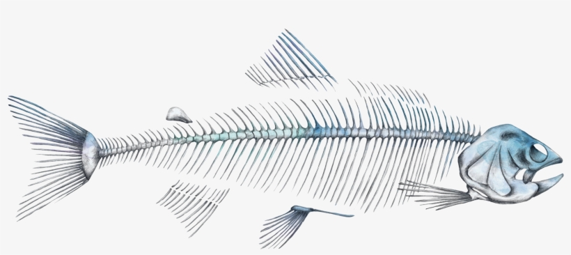 Rake, transparent png #488841