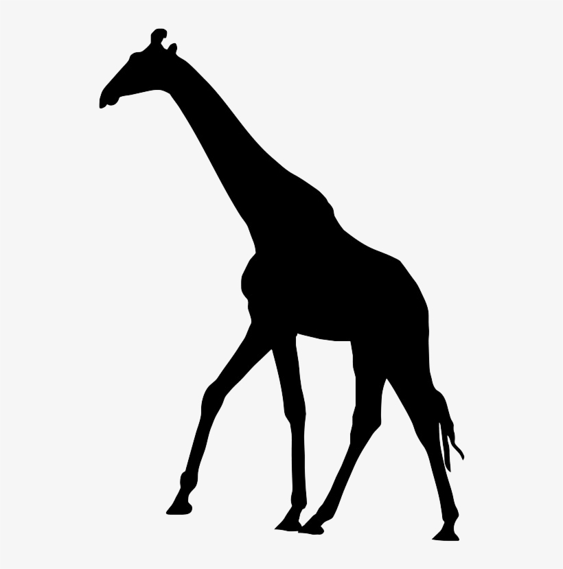 Giraffesilhouette - Elephant And Giraffe Cards, transparent png #489052