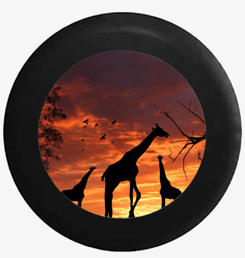 Silhouette Giraffes Sunset Sunrise African Safari Sahara - Desktop Backgrounds With Giraffes, transparent png #489071