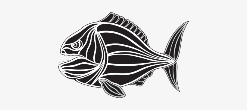 Clip Transparent Download Barracuda Drawing Skeleton - Piranha Tattoo, transparent png #489644
