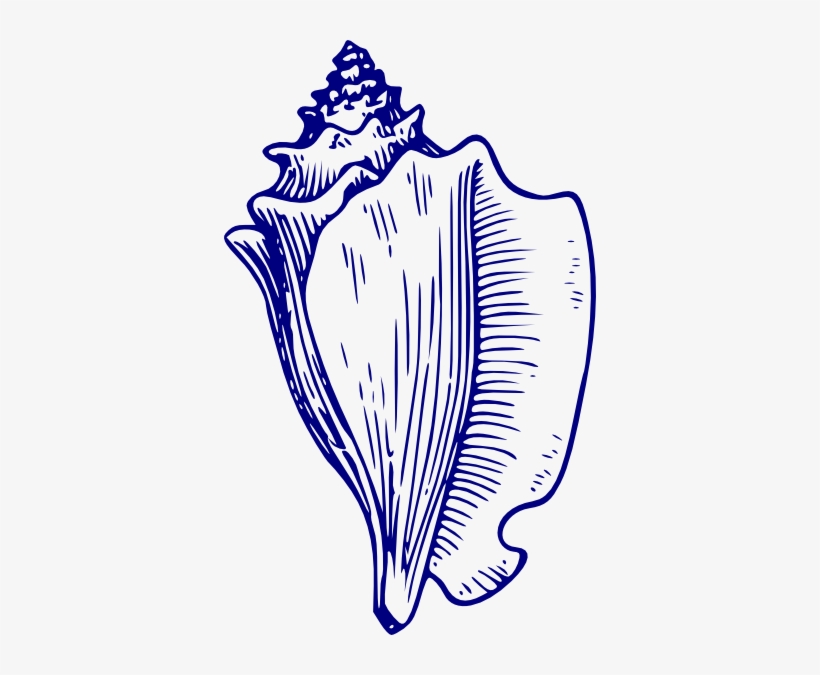 Blue Shell Clip Art - Lord Of The Flies Clip Art Conch, transparent png #489710