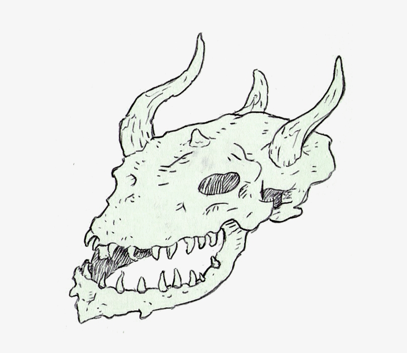 Image Library Library Anglerfish Drawing Skull - Skull, transparent png #489752