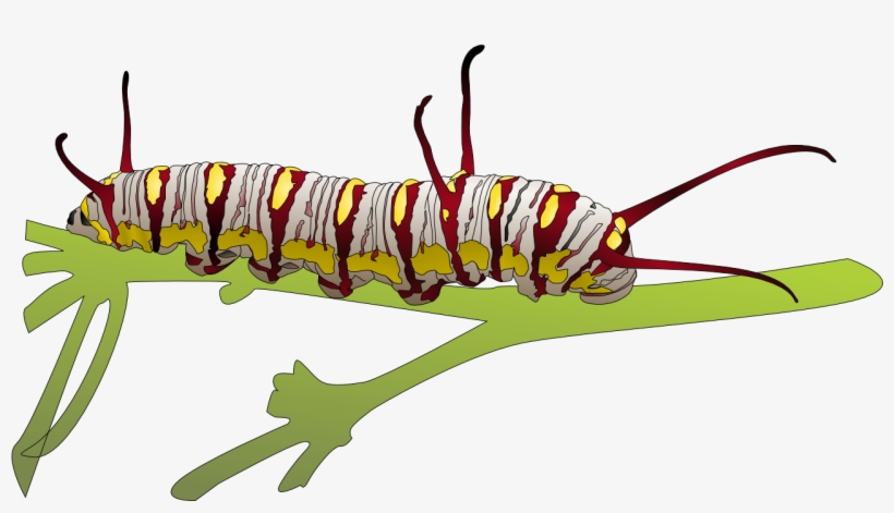Caterpillar Free Png Image - Higad Clipart, transparent png #489787