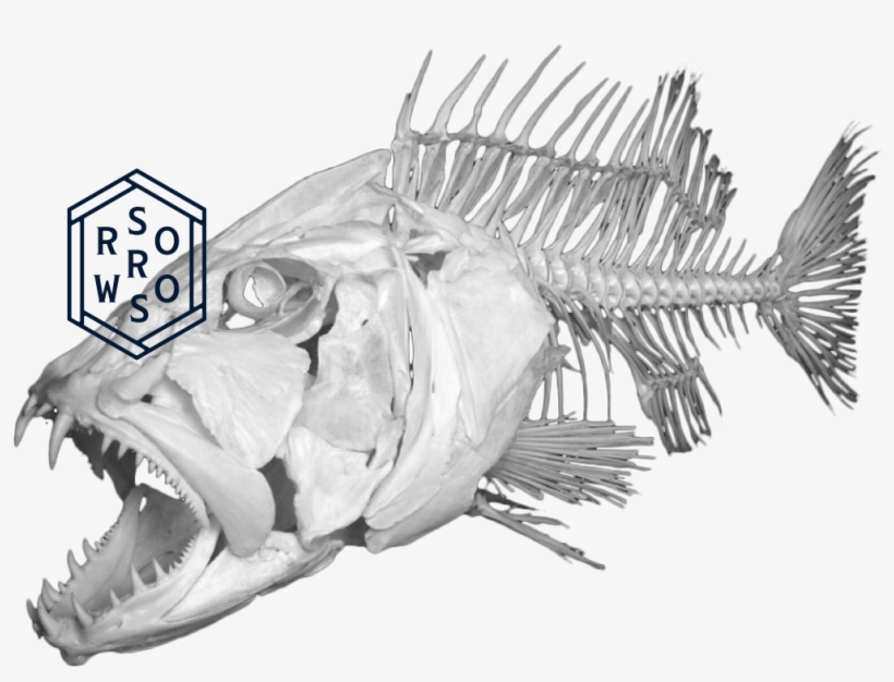 The Sorrows, transparent png #489813