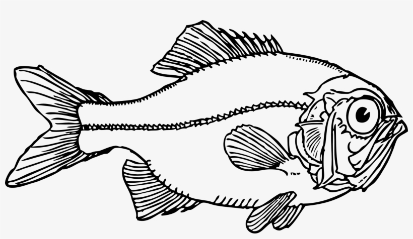 Ugly Fish Black White Line Art Coloring Book - Fish Clip Art, transparent png #489873