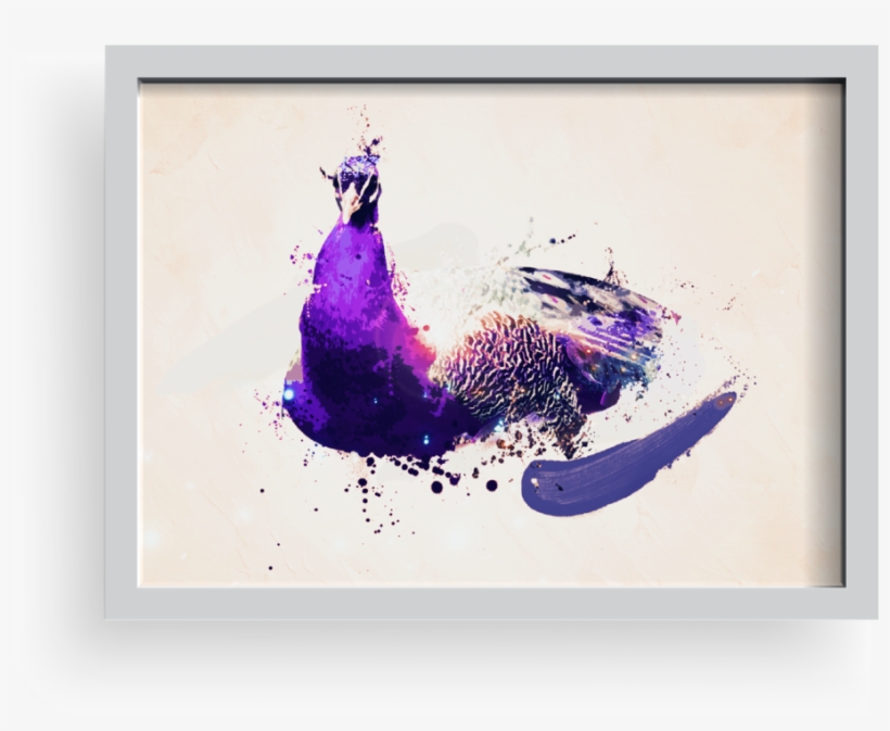Peacock, transparent png #4800074