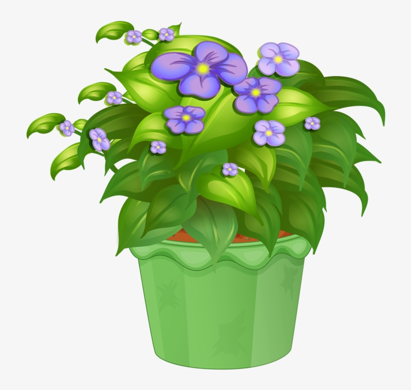 Яндекс - Фотки - Ornamental Plants, transparent png #4800752