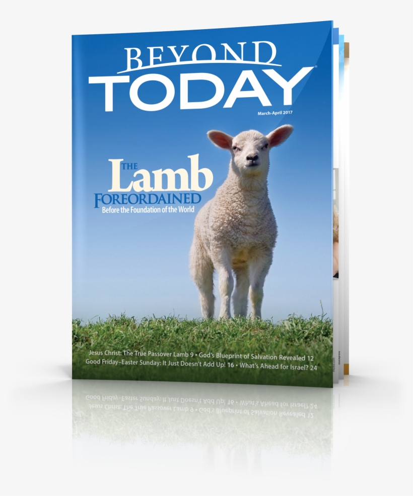 Beyond Today Magazine - Beyond Today -- Why Does The Middle East Matter?, transparent png #4801168