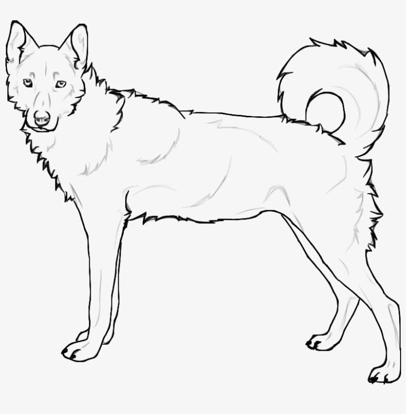 Coloring Pages Of Husky Dogs - Siberian Husky Huskies Coloring Pages, transparent png #4801505