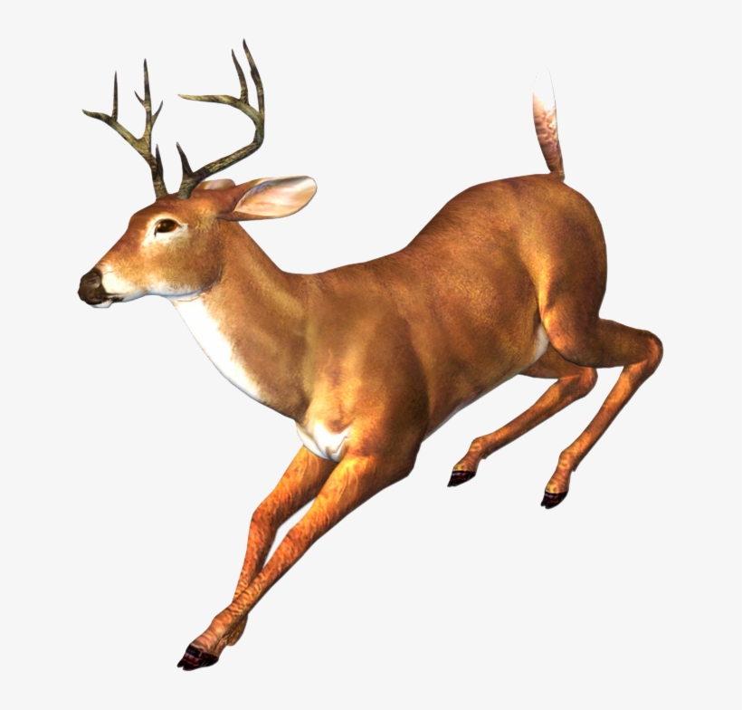 Running Deer, transparent png #4805305
