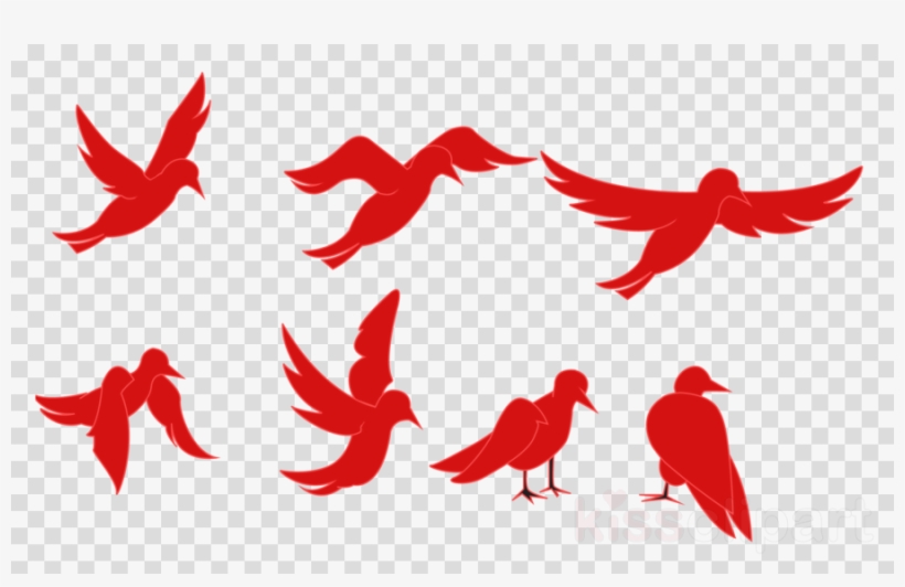 Bird Animation Clipart Tweety Bird Animated Film - Animated And Transparent Images Of Birds, transparent png #4807689