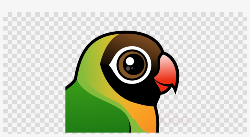Black Cheeked Lovebird Clipart Parrot Black Cheeked - Planet Alpha Channel, transparent png #4807809