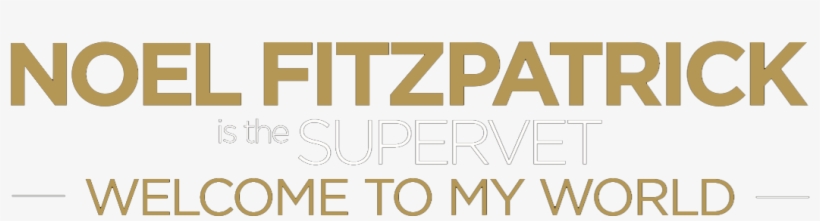 Welcome To My World Is A Unique Live Experience - Nir Kaufman, transparent png #4809862