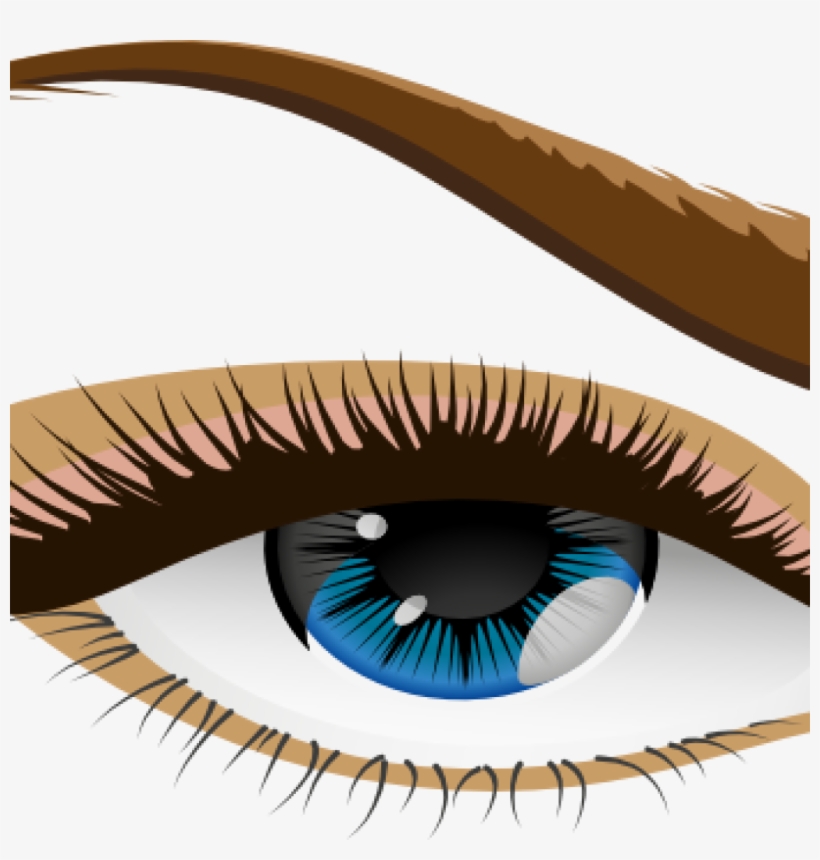 Human Eye Clip Art Free Clipart Download Rh Thelockinmovie - Vector Icones De Sobrancelha, transparent png #4810521