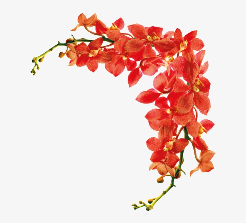 Floral Decorative Border Cartoon Transparent - Shutterstock Flowers Hd, transparent png #4811455