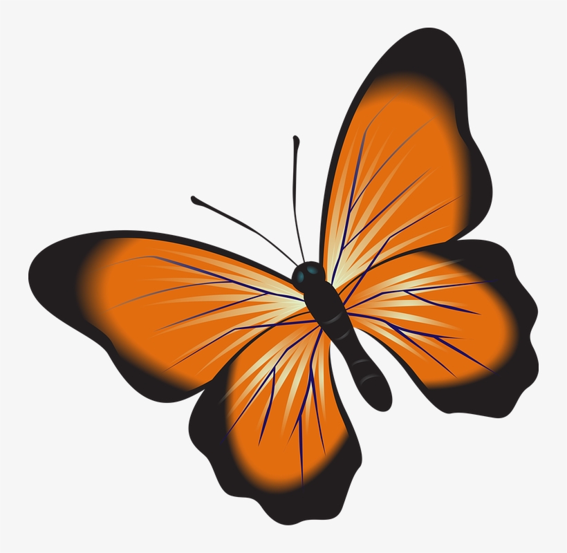 Butterfly Cliparts Background 10, Buy Clip Art, transparent png #4811777