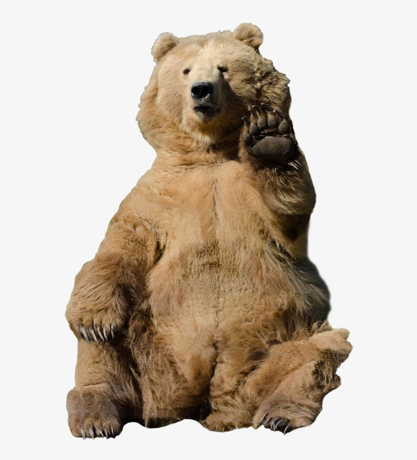Soviet Bear Png - Bear Waving Transparent Background, transparent png #4811790