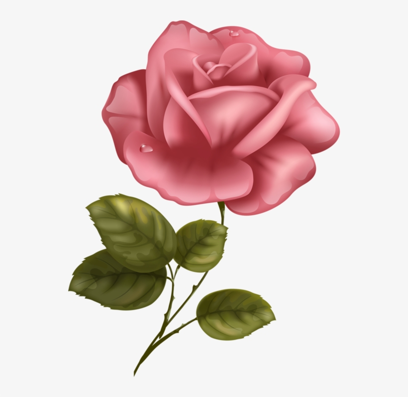 Яндекс - Фотки - Scroll Paper No Background, transparent png #4812437