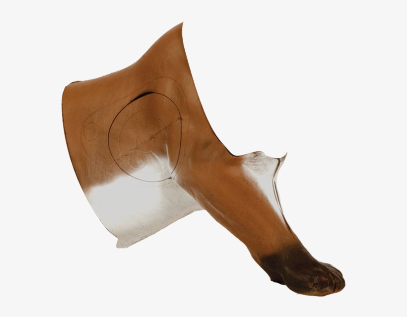 Mountain Lion Mid - Cougar, transparent png #4812540