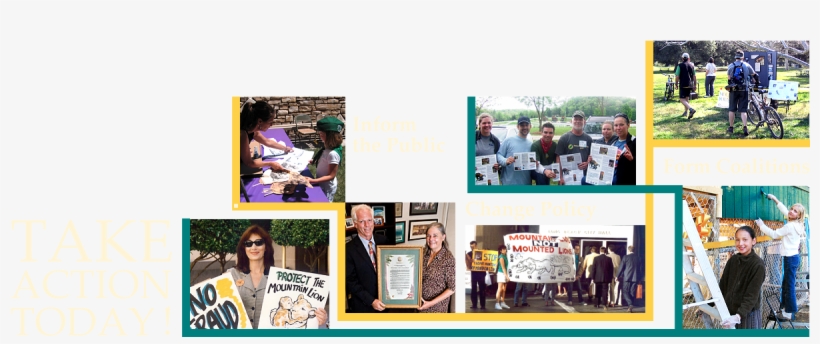 Montage Of Photographs Of Mlf Activists - Activism, transparent png #4812976