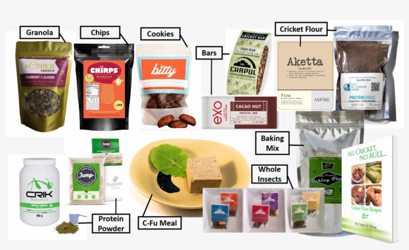 A Sample Of Curry's Bugwall Edible Insect Stock, From - Chapul - Cricket Protein Thai Bar Coconut Ginger, transparent png #4813216