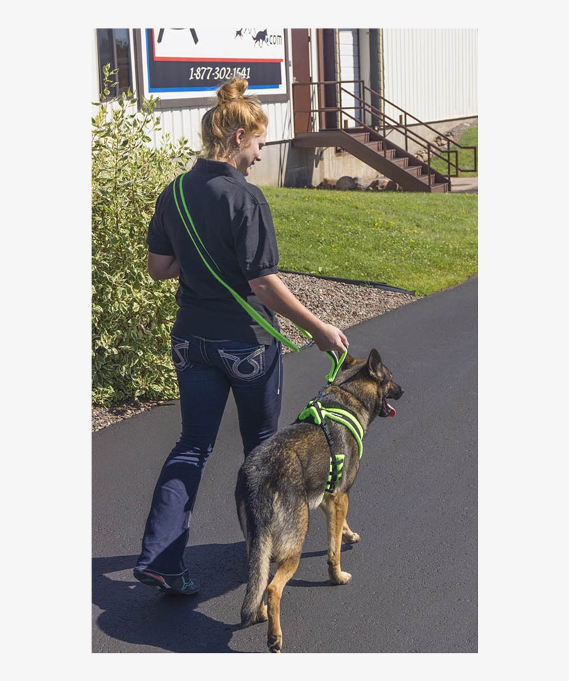 Eezwalker Hands Free Dog Leash - Old German Shepherd Dog, transparent png #4814833