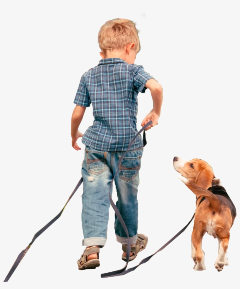 Panhandle Community Theatre (pct), transparent png #4815007