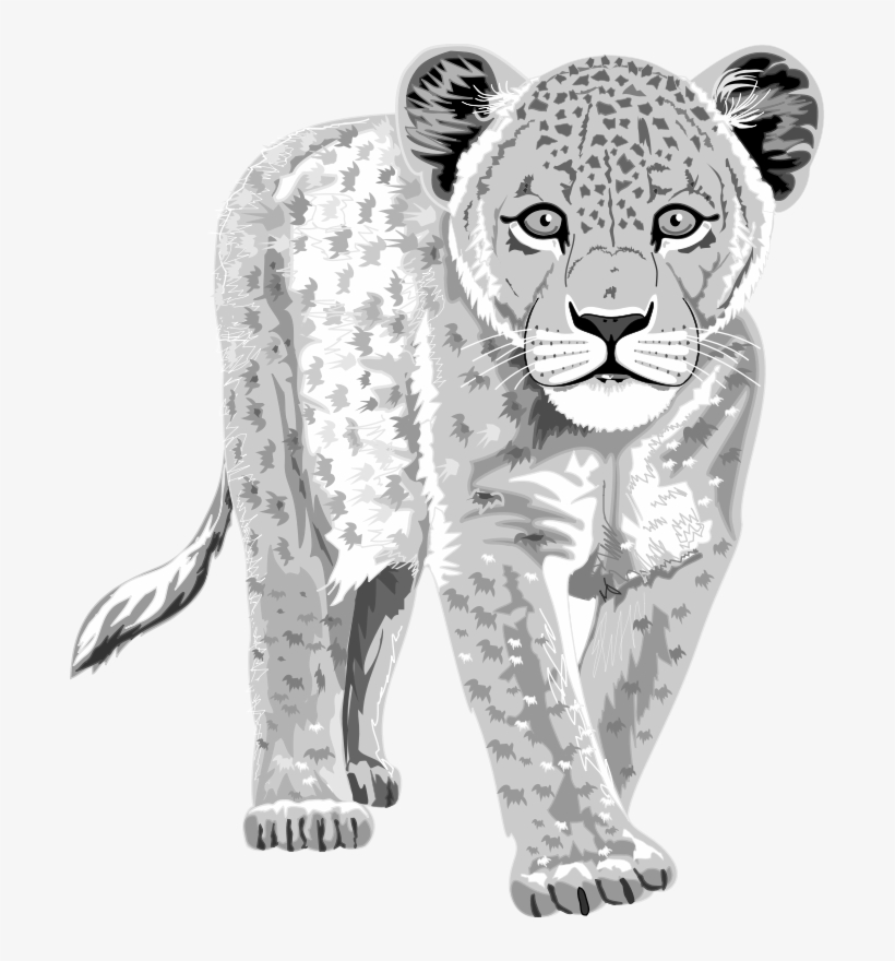 Leopard - Leopard Got His Spots Worksheet, transparent png #4815163