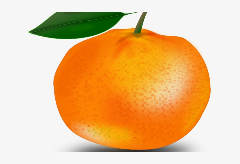 Guava Clipart Gambar - Kalen Marquis | The Christmas Orange | Marquis | Buch, transparent png #4817171