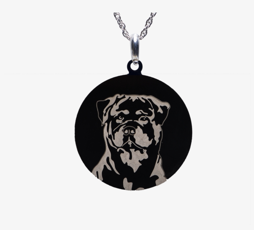 Rottweiler Charm Dog - Dog, transparent png #4818009