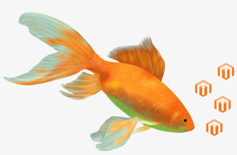 Goldfish Cropped-flipped And Space Added - Magento User Guide, transparent png #4819251