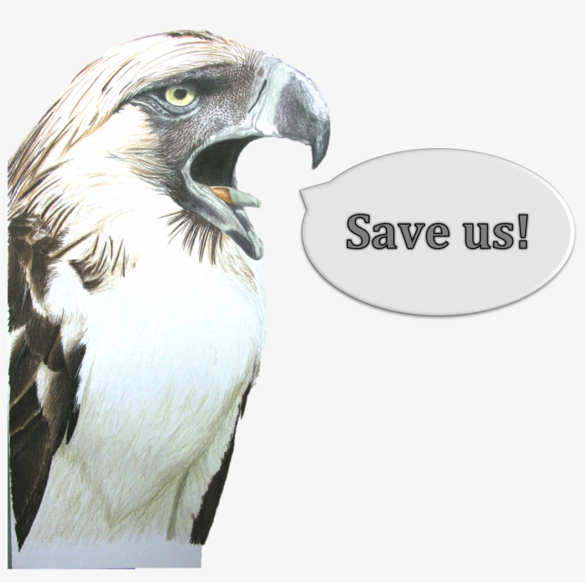 Save Us - Save Golden Eagle Slogan, transparent png #4819909