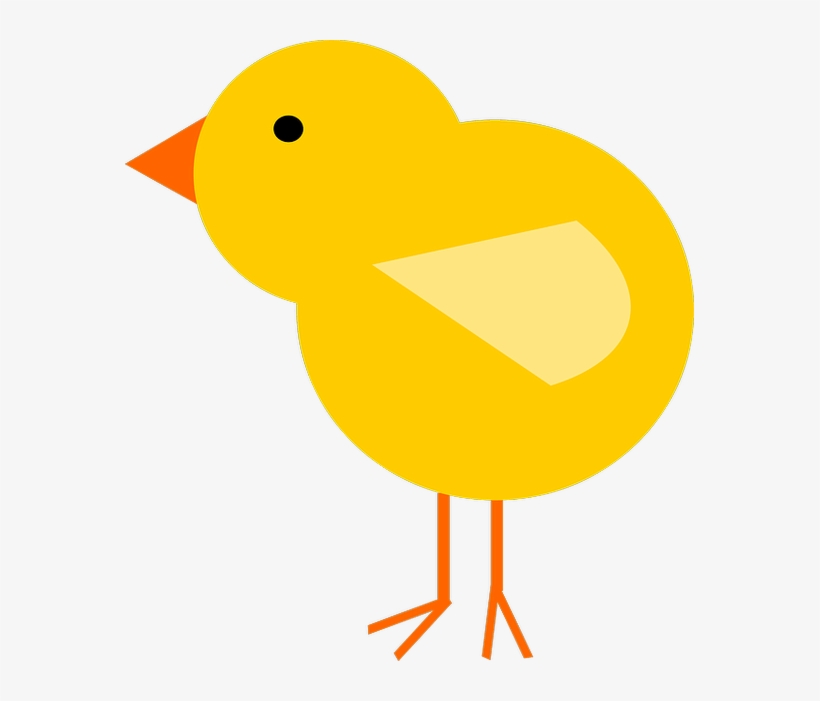 Baby Chick Cartoon Png - Free Transparent PNG Download - PNGkey